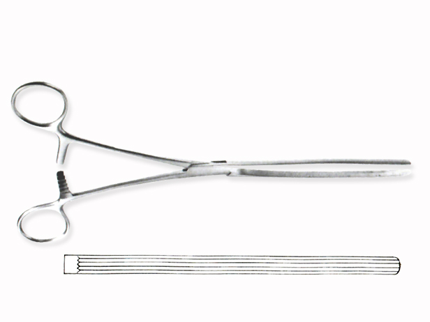 Pinza Clamp intestinal recta